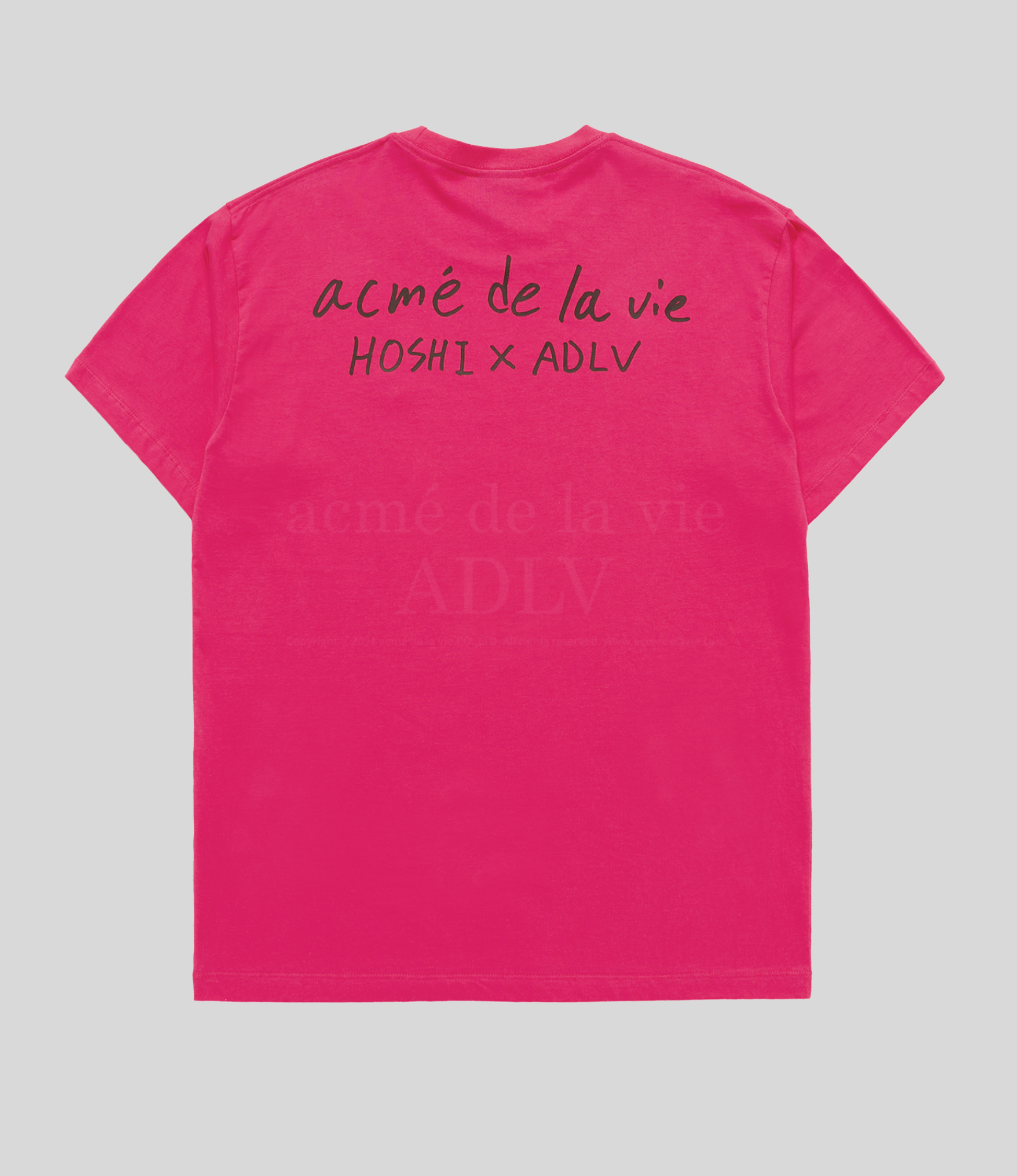 HOSHI x ADLV - Wappen Short Sleeve T-Shirt - Image 2