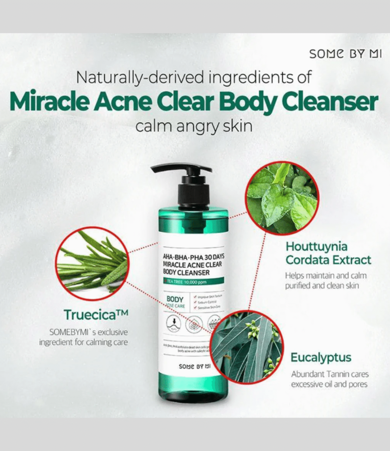 SOME BY MI - 30 AHA BHA PHA Body Cleanser - Image 2